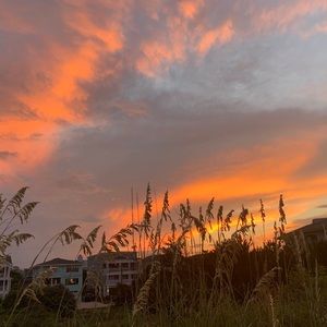 Meet your Posher, Bev